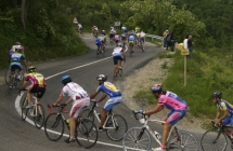 Venti promesse del ciclismo austriaco si allenano sulle colline Romagnole