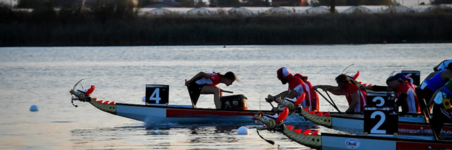 Dopo dieci anni il dragon boat mondiale torna a Ravenna-Standiana con il 14th IDBF DB Club Crew World Championship 2024