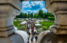 Fiori su tela, nei roseti e orti botanici, tra mostre mercato e visite a giardini segreti: da metà marzo la primavera fiorisce in Emilia-Romagna con tanti eventi