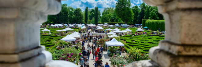 Fiori su tela, nei roseti e orti botanici, tra mostre mercato e visite a giardini segreti: da metà marzo la primavera fiorisce in Emilia-Romagna con tanti eventi